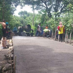 Guna Tingkatkan Perekonomian Desa, Pemdes Tenggarejo Bangun Jalan Usaha Tani