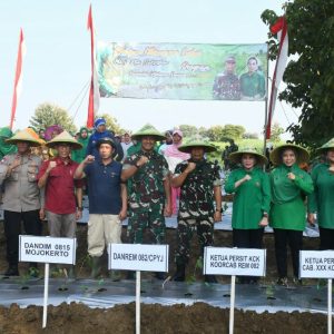 Tanam 4000 Bibit Cabe, Danrem 082/CPYJ : Komitmen TNI Berkontribusi Wujudkan Hanpangan Nasional