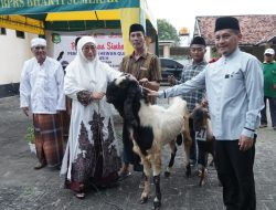 Teladani Nabi Ibrahim, Pemkab Sumenep Serahkan Puluhan Hewan Kurban