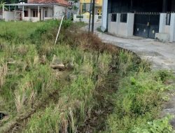 Raibnya Kegiatan Pokmas di Salah satu Desa yang ada di Kecamatan Batuan Menjadi Sorotan Warga Sekitar