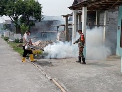 Babinsa Mojodowo Koramil Kemlagi Dampingi Pelaksanaan Fogging Cegah Demam Berdarah