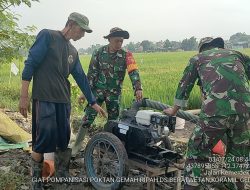 Maksimalkan Capaian Target Pengairan, Babinsa Berat Wetan Aktif Pantau Program Pompanisasi Lahan Sawah