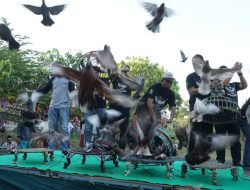 Lewat Festival Dara Oddag, Bupati Sumenep: Sarana dan Wahana Pelestarian Tradisi