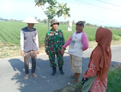 Hanpangan, Babinsa Desa Centong Dampingi Penyemprotan Padi Dengan Teknologi Drone