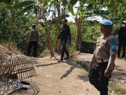 Resahkan Masyarakat, Polsek Jetis Gerebek Tempat Judi Sabung Ayam