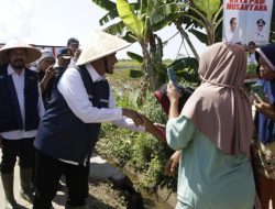 Pemerintah Sumenep Siapkan Asuransi Ketenagakerjaan Gratis untuk Petani Tembakau Lewat DBHCHT