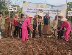 DKPP dan Polres Sumenep Tanam Jagung Bersama, Upaya Dukung Ketahanan Pangan Nasional