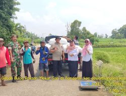 Koramil 0815/08 Dawarblandong Dampingi Bulog Serap Langsung Gabah Petani