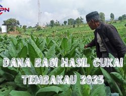 DBHCHT 2025 Naik Signifikan, Sumenep akan Terima Tambahan Dana Hingga Rp.14 Miliar Lebih