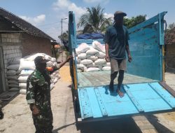 Kodim 0815 Bersama Bulog KC Mojokerto Serap 10,7 Ton Gabah Petani di Jetis