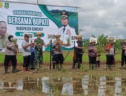Gelar Tanam Padi Bersama Forkompinda, Bupati: April ini, Swasembada Pangan Sumenep Surplus