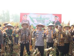 Panen Raya Jagung Tahap II, Polres Mojokerto Kota Perkuat Ketahanan Pangan Nasional