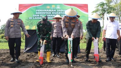 Mendukung Progam Ketahanan Pangan, Kapolres Mojokerto Kota adakan Penanaman Jagung Serentak Kuartal III Di Lahan Seluas 1 hektar