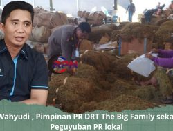 Petani Sumringah, PR DRT The Big Family Mulai Buka Pembelian Tembakau 2025