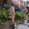 Sinergi TNI, BPBD, dan Warga Atasi Pohon Tumbang di Mojosari