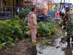 Sinergi TNI, BPBD, dan Warga Atasi Pohon Tumbang di Mojosari