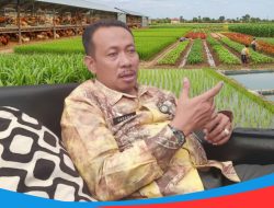 DPMD Sumenep Optimis, Puluhan Komoditas Bumdes Pangan Dapat Terealisasi Dengan Sempurna