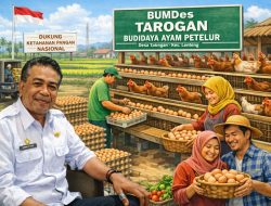 Dukung Ketahanan Pangan Nasional, Pemdes Tarogan melalui BUMDes nya Kembangkan Budidaya Ayam Petelur 