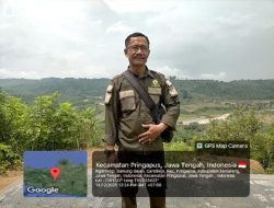 Perhutani Watugajah Bantah Tuduhan Alih Fungsi Hutan Jadi Kebun Jagung