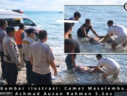 Mayat Mr X Gegerkan Warga Pantai Sepanjang, Polisi Lakukan Pendalaman