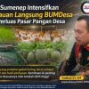 DPMD Sumenep Intensifkan Peninjauan BUMDesa, Arahkan Kemitraan untuk Perluas Pasar Pangan Desa