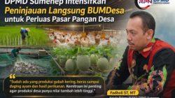 DPMD Sumenep Intensifkan Peninjauan BUMDesa, Arahkan Kemitraan untuk Perluas Pasar Pangan Desa