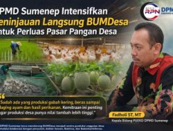 DPMD Sumenep Intensifkan Peninjauan BUMDesa, Arahkan Kemitraan untuk Perluas Pasar Pangan Desa