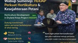 Wabup Sumenep Dorong HDDAP Jadi Motor Transformasi Hortikultura dan Kesejahteraan Petani